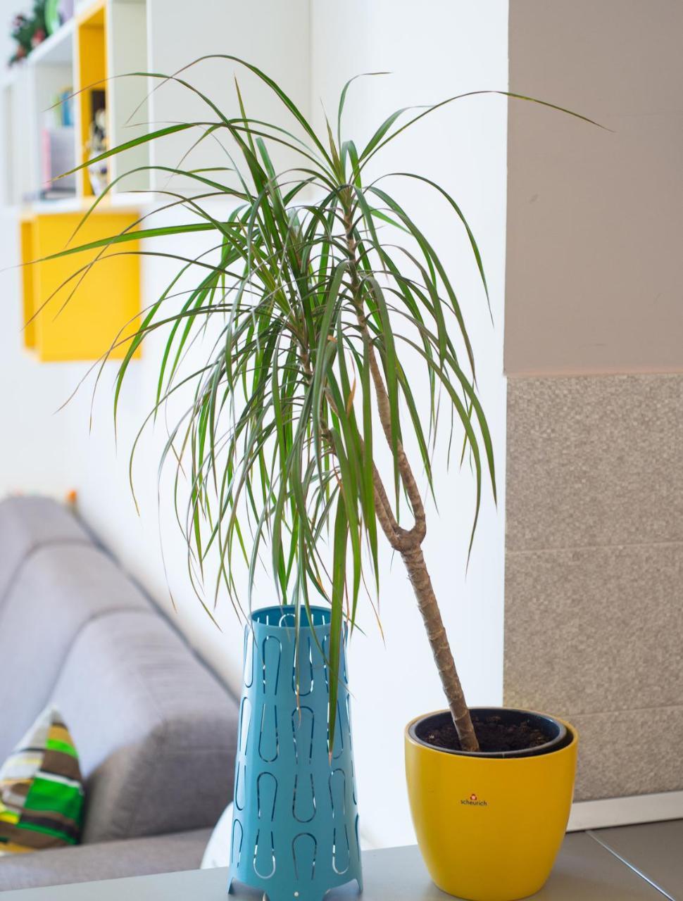 Apartment Lemon Mostar Buitenkant foto